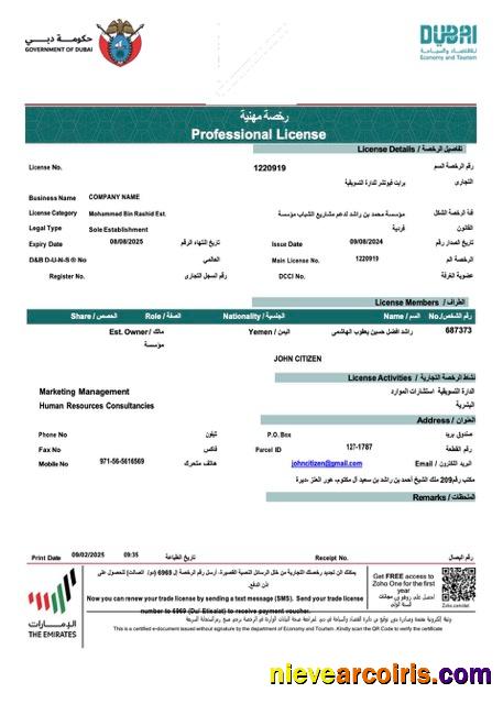 UAE Dubai professional license of company